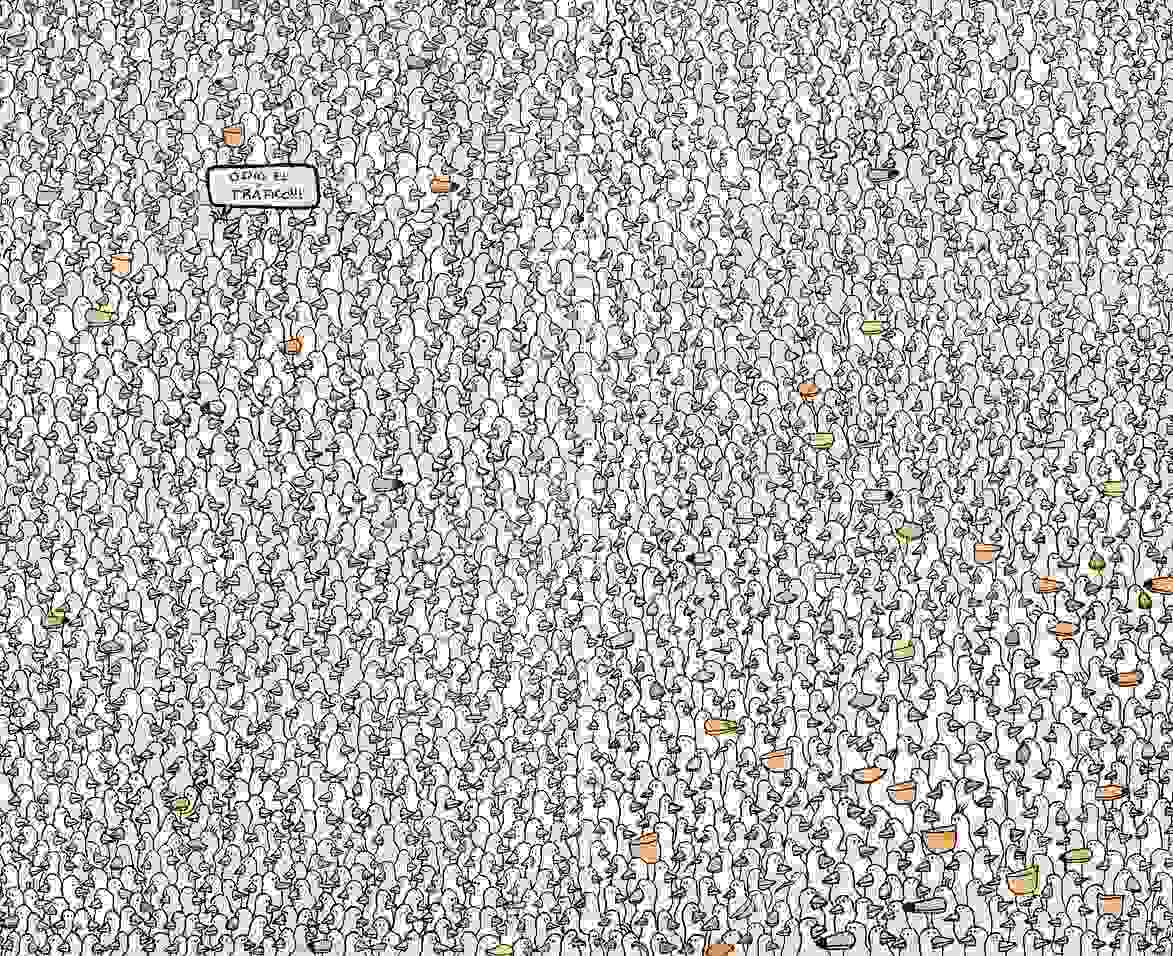 where is the bird with hat